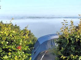 Foggy