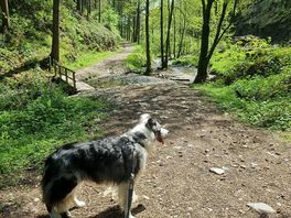 Nearby waterfall walk