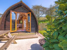 Deluxe Wigwam outside
