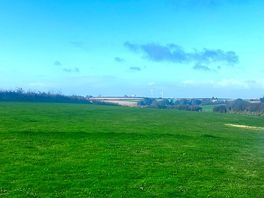 View from the back field