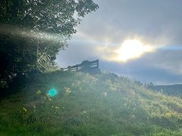 Morning sunshine