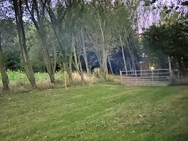 View of enclosed garden
