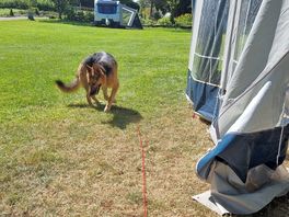 Skyes first trip