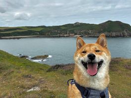 Bull bay walk
