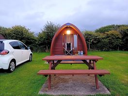Pod 9