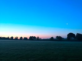 Bird song waking you up at 4am has its advantages