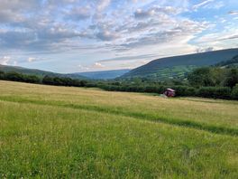 2nd field - there are 3 campervan pitches along bottom hedge.