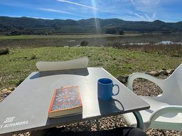 Lovely view from the cafe