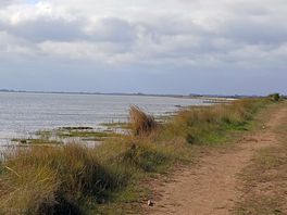 Easy to lose yourself in the quiet