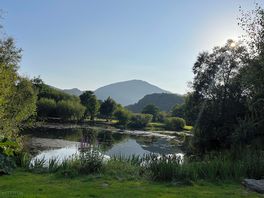 Onsite views