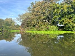 River medway