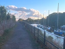 Near harbour dog walks