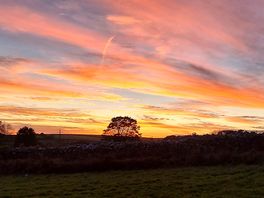 Beautiful sunset