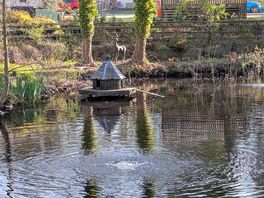 Site pond
