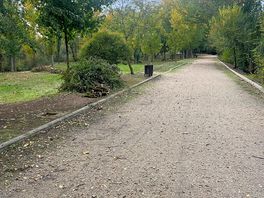 Walks by the river