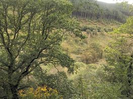 One of the walks
