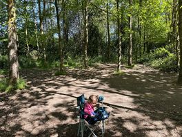 Beards wood camping