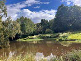 Duck pond life 🦆