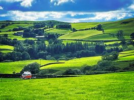 Amazing views. walks from site