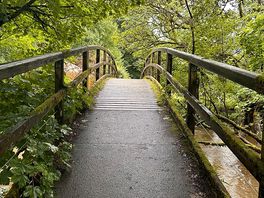 Walk