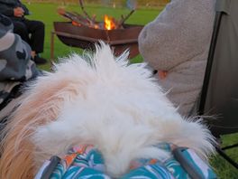Fire pits