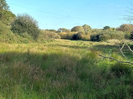 Marsh area rear of campsite