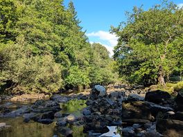 Perfect river for paddling