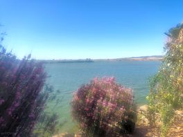 En el lago
