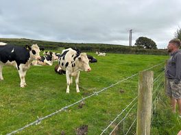 The neighbours.