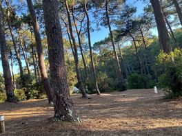 Campsite