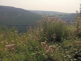 On the walk around the campsite