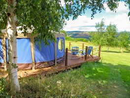 View from the decking