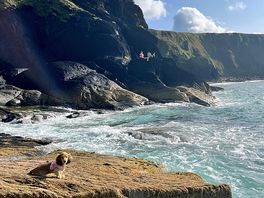 Muscle wick at high tide