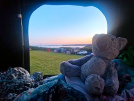 Evening views