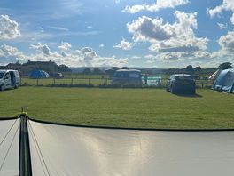The site
