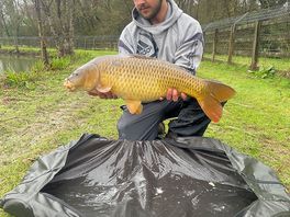 Caught 5 in total