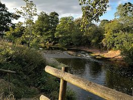 River from dog field
