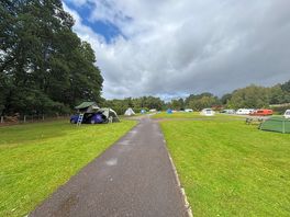 Camp side