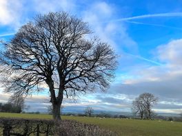 Lovely view