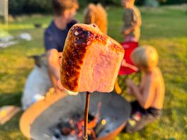 Marshmallows