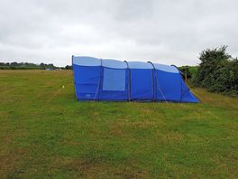 Field b