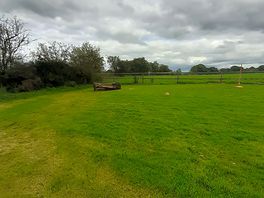 Lovely little natural bench