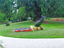 Paon jardin municipal