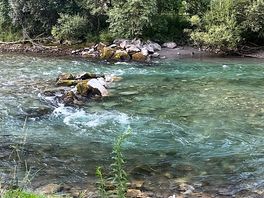 Prachtige möll vanaf camping