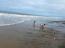 Fantastic beach