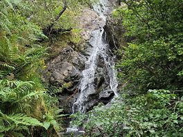 Near by waterfall
