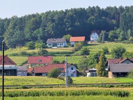 Local view