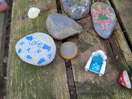 Fairy garden