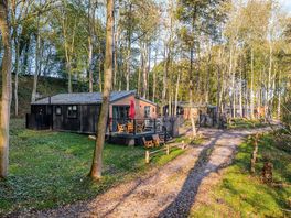 Lodges shaded by trees