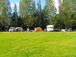 Sunny day at the campsite